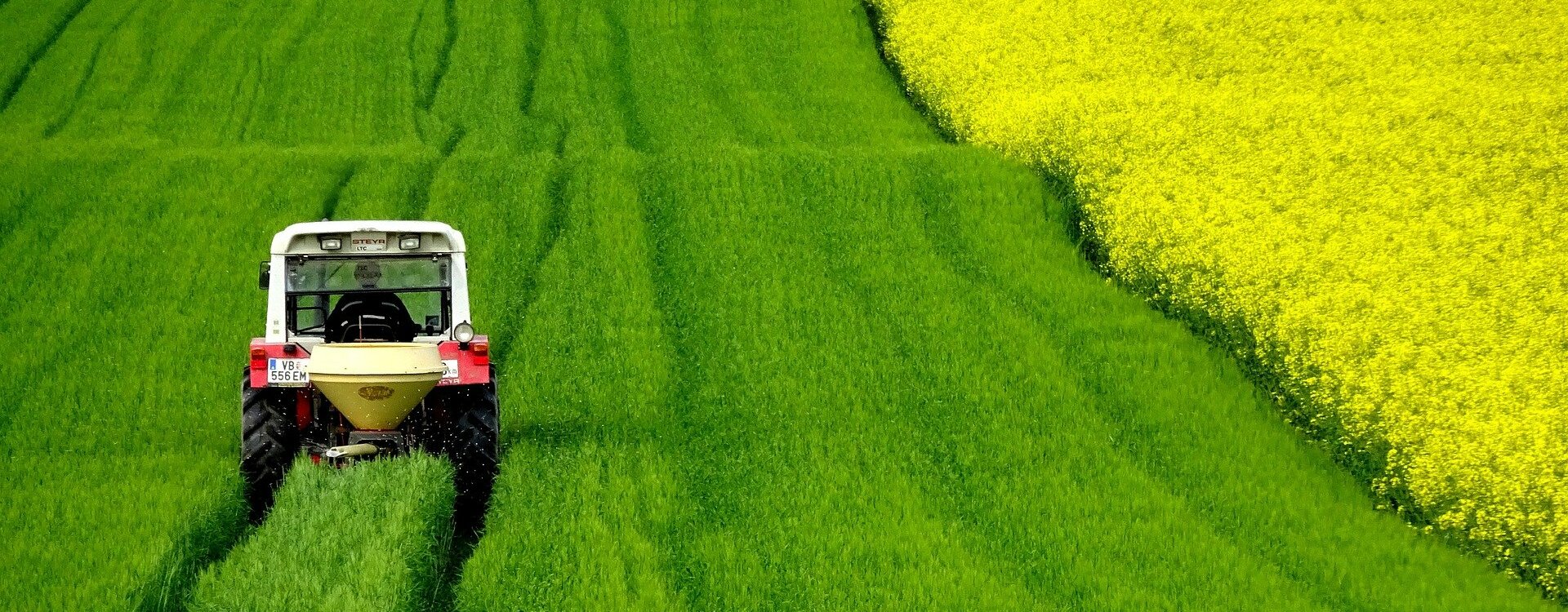 Exploitants agricoles - Ussel en Planèze - Cantal